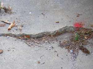 A sinking concrete sidewalk in need of mudjacking services in Fort Wayne.